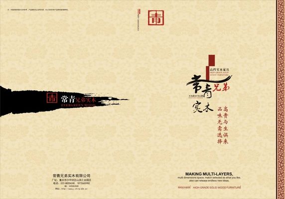 海外网友为何热衷“成为中国人”（环球热点）